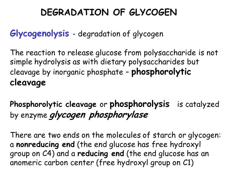 DEGRADATION OF GLYCOGEN