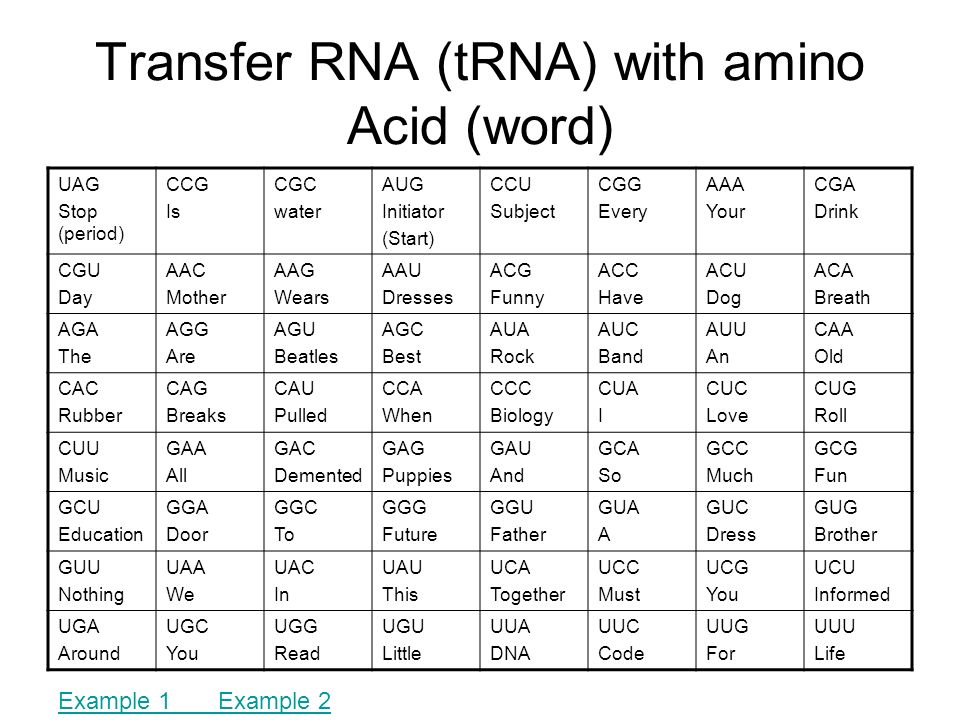 Amino Acid Anticodon Chart