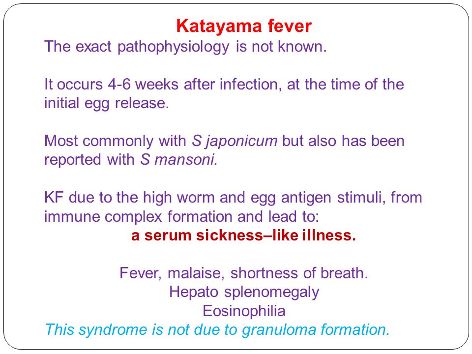 schistosomiasis katayama fever