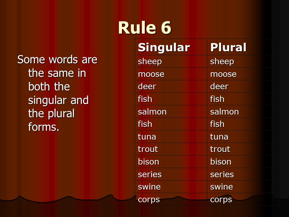 Plural Rules Ppt Video Online Download