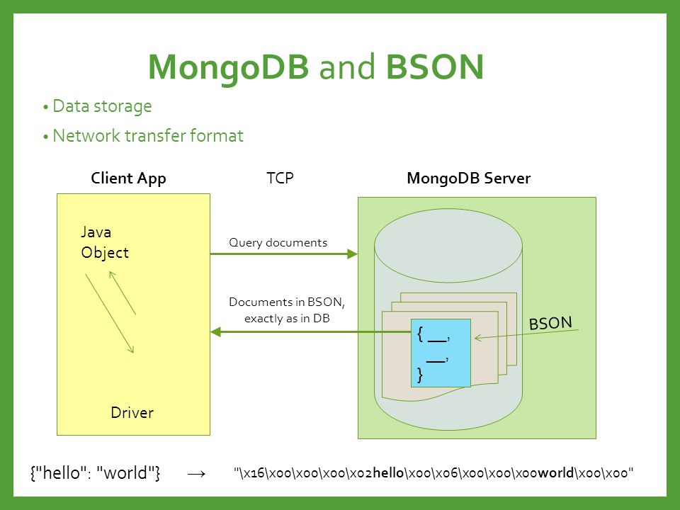 MongoDB and BSON Data storage Network transfer format