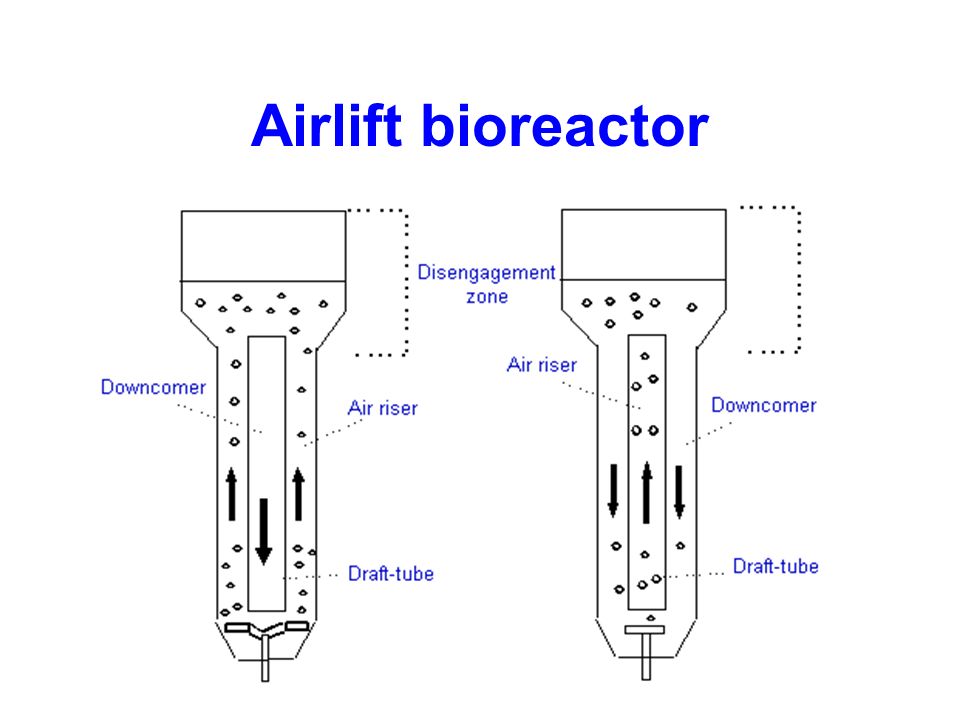 Bioreactors. - ppt video online download