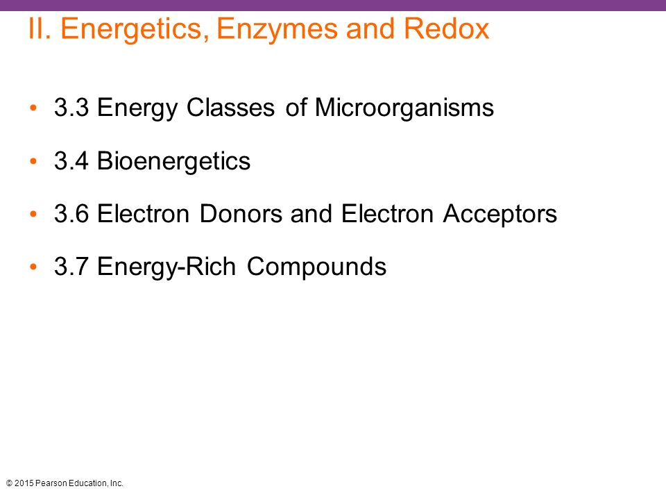 II. Energetics, Enzymes and Redox