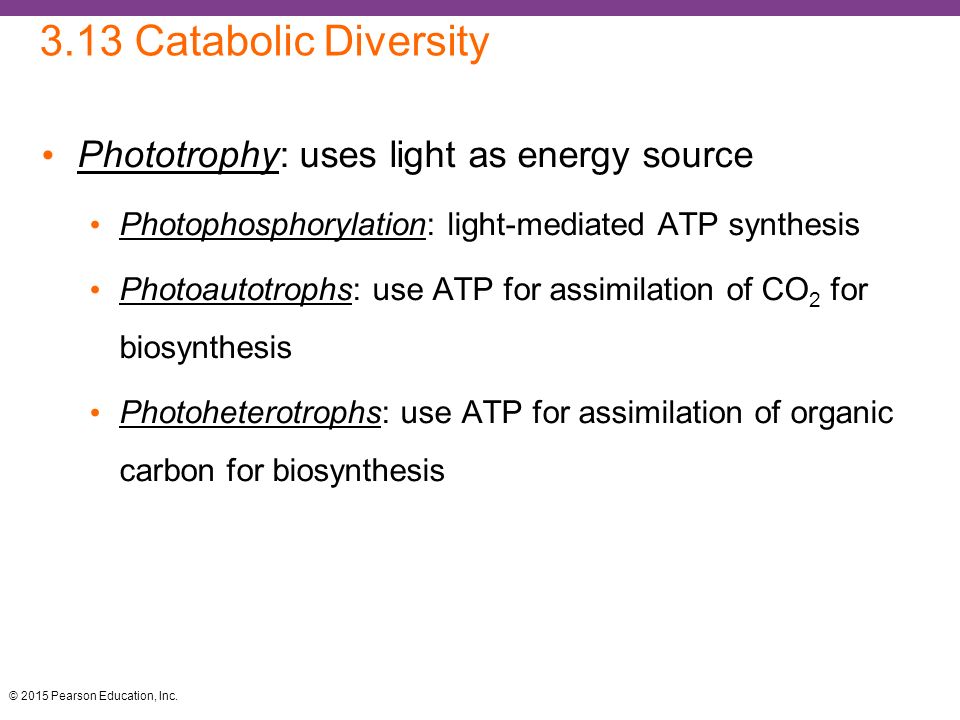 3.13 Catabolic Diversity Phototrophy: uses light as energy source