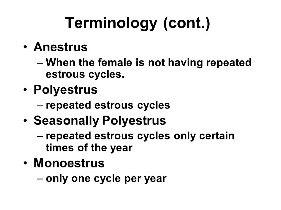 Animal Science 434 Estrus Cycles. - ppt video online download