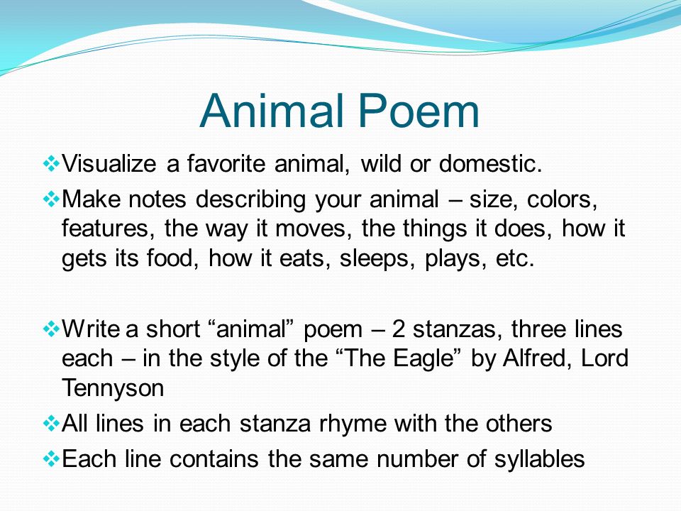 Poetry “We don't read and write poetry because it's cute. We read and write  poetry because we are members of the human race, and the human race is  filled. - ppt video