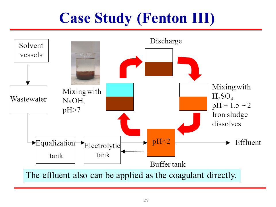 Case Study (Fenton III)