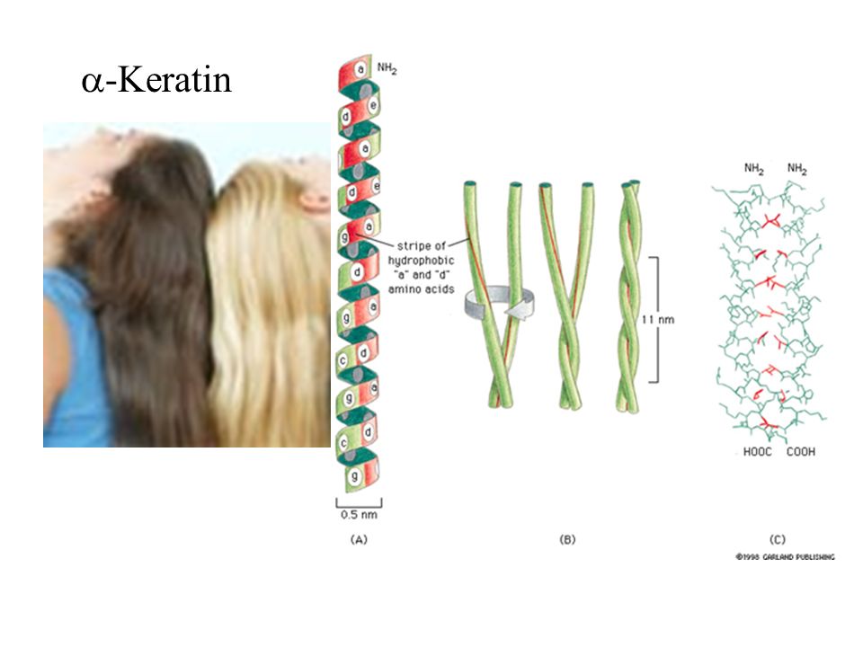 Какими тремя видами связей соединены кератиновые цепочки в волосе