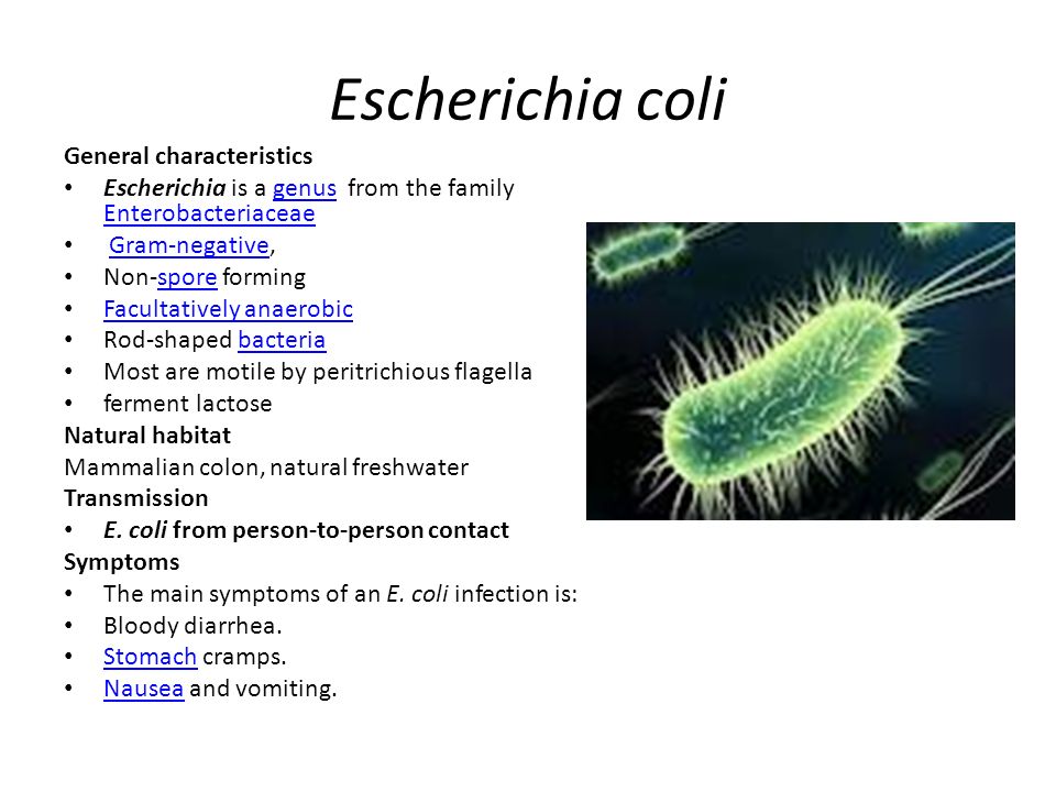 Mic 101: L 10,11,12 STT Distinguishing Characters of Bacteria - ppt download