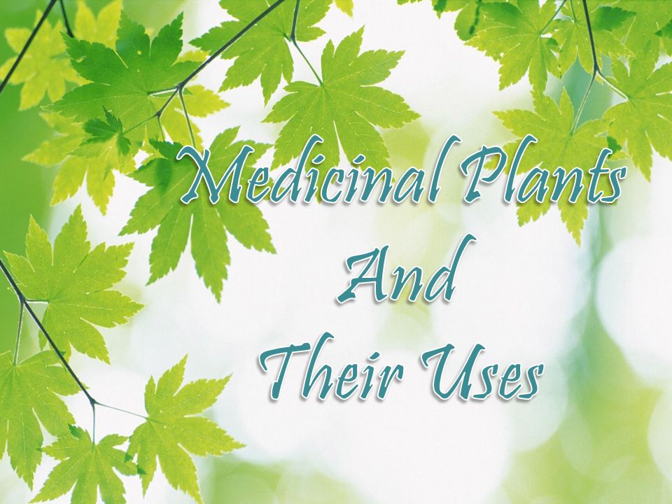 Medicinal Plants And Their Uses