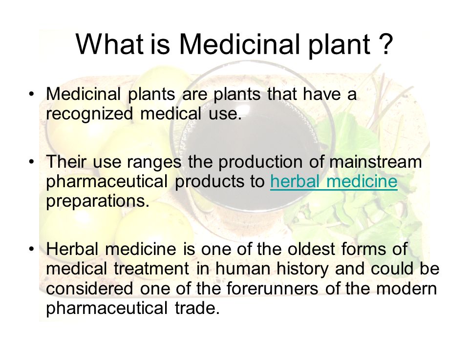 Medicinal Plants And Their Uses Chart