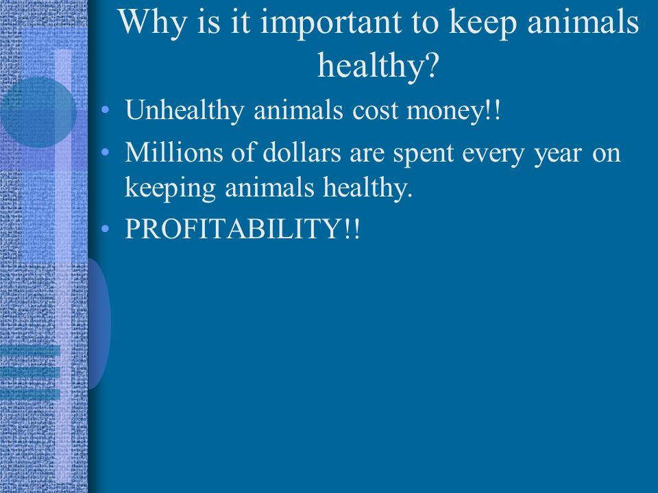 Detecting Unhealthy Animals - ppt video online download