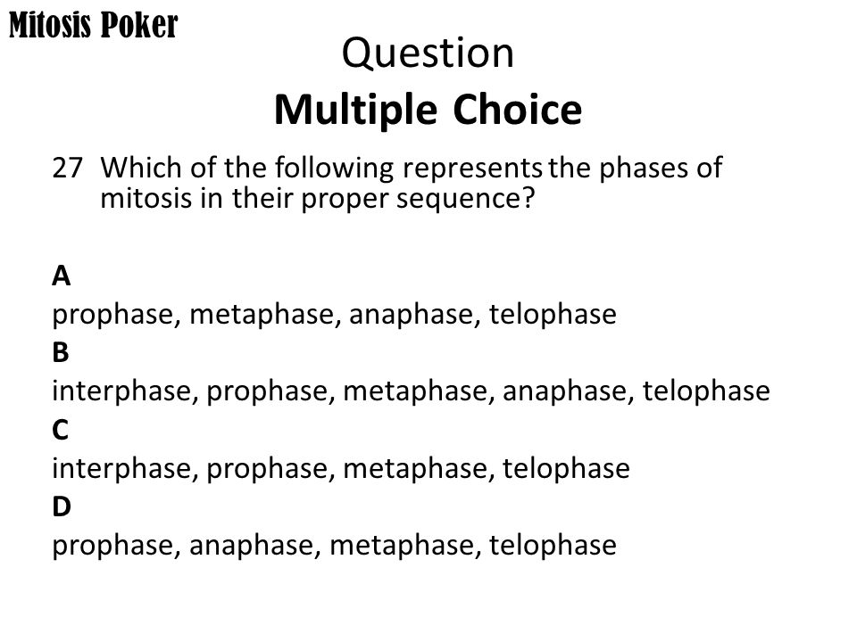 Question Multiple Choice