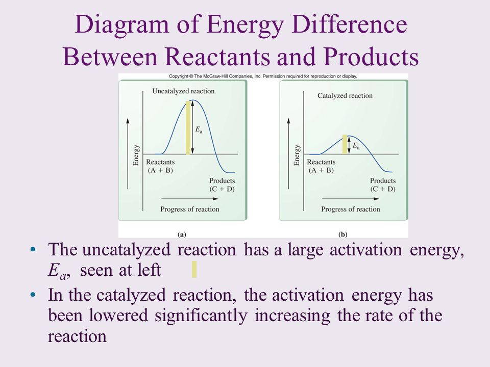 Energy diagram. Reactants and products. Reactants turn products. Reactants helping Speed turn products. What is different between epistatsi and phenomena.