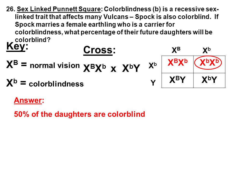 Unit 6 Genetics Test Review Answers 1 Play The Slide Show Ppt