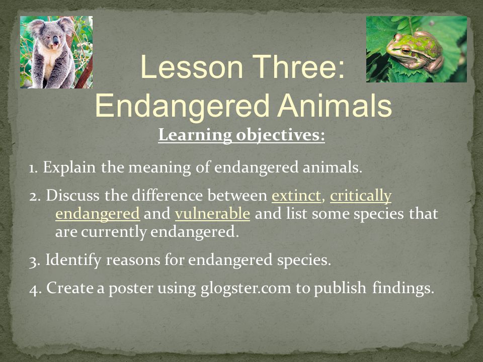 Year Five Science Lessons - ppt video online download
