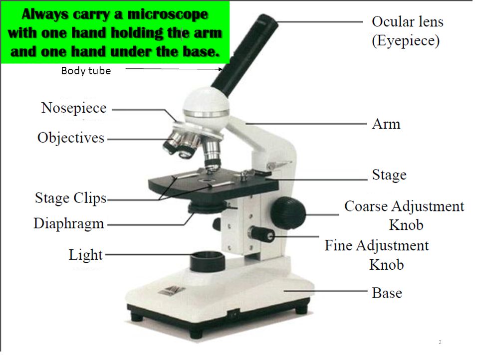40x Mini Microscope UP right Image Monocular Stereo