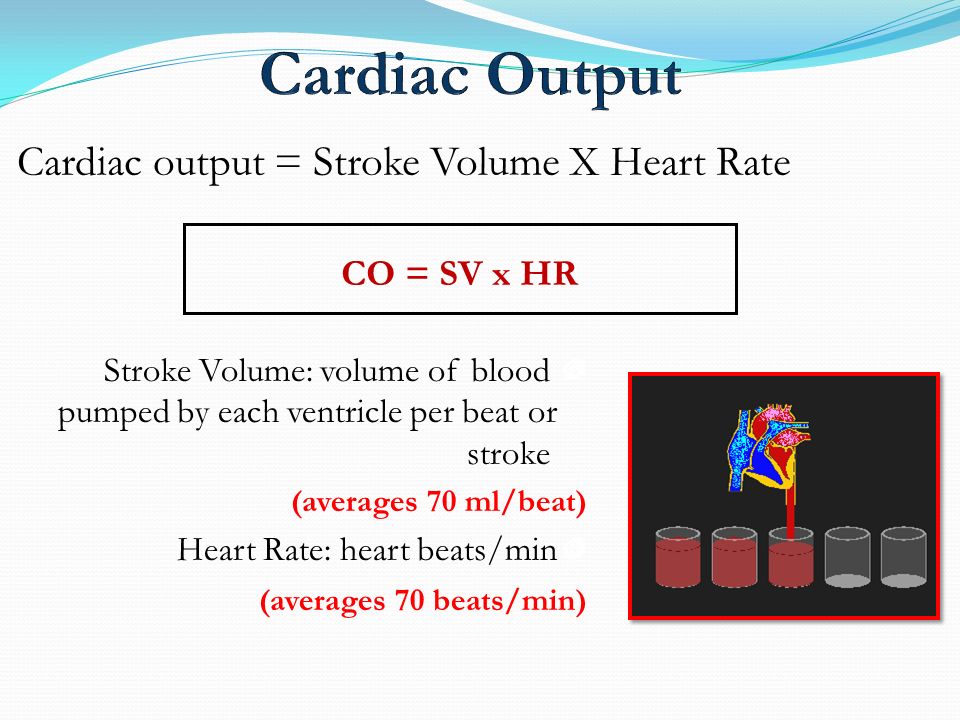 Cardiovascular System - ppt video online download