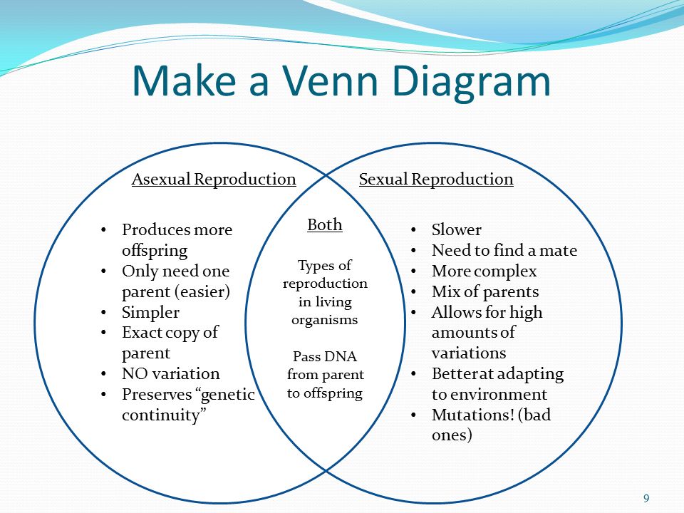 Asexual Reproduction Vs Sexual Reproduction Chart