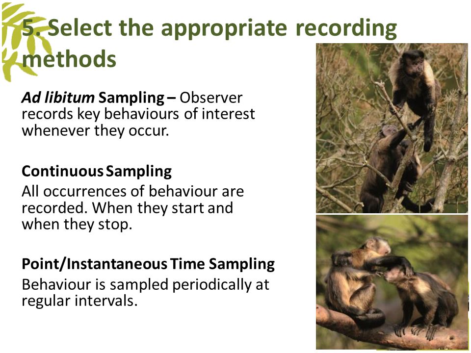 Measuring Behaviour Suggested running options - ppt download