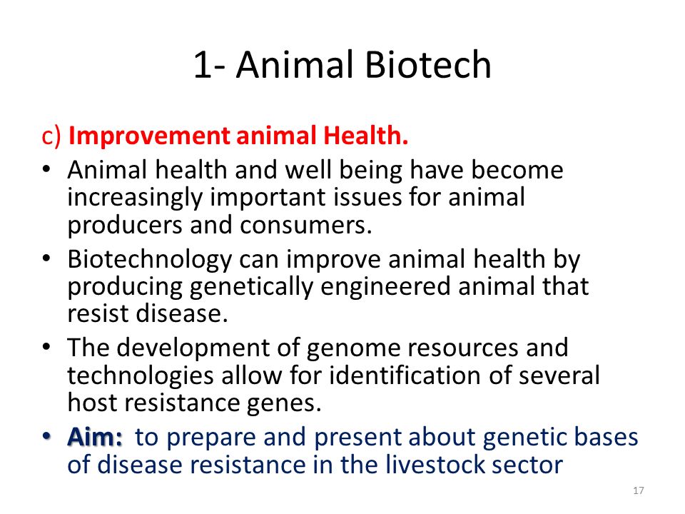 ANIMAL BIOTECHNOLOGY. - ppt video online download ANIMAL BIOTECHNOLOGY. - ppt video online download
