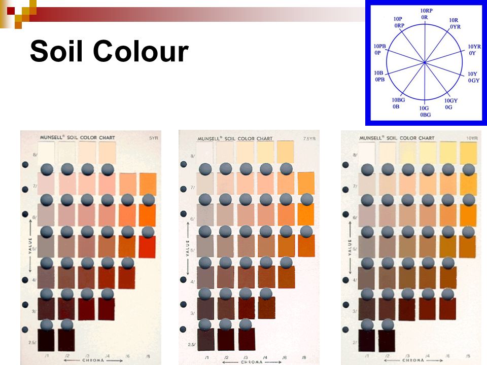 Soil Color Chart Online