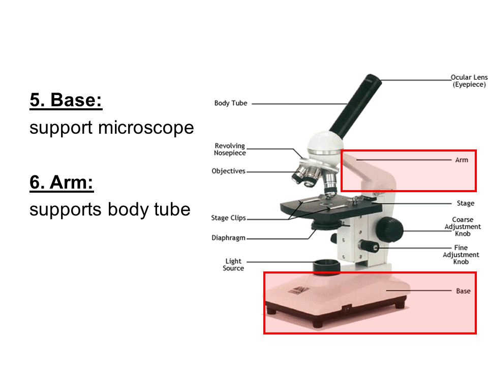 Base support. Tube body