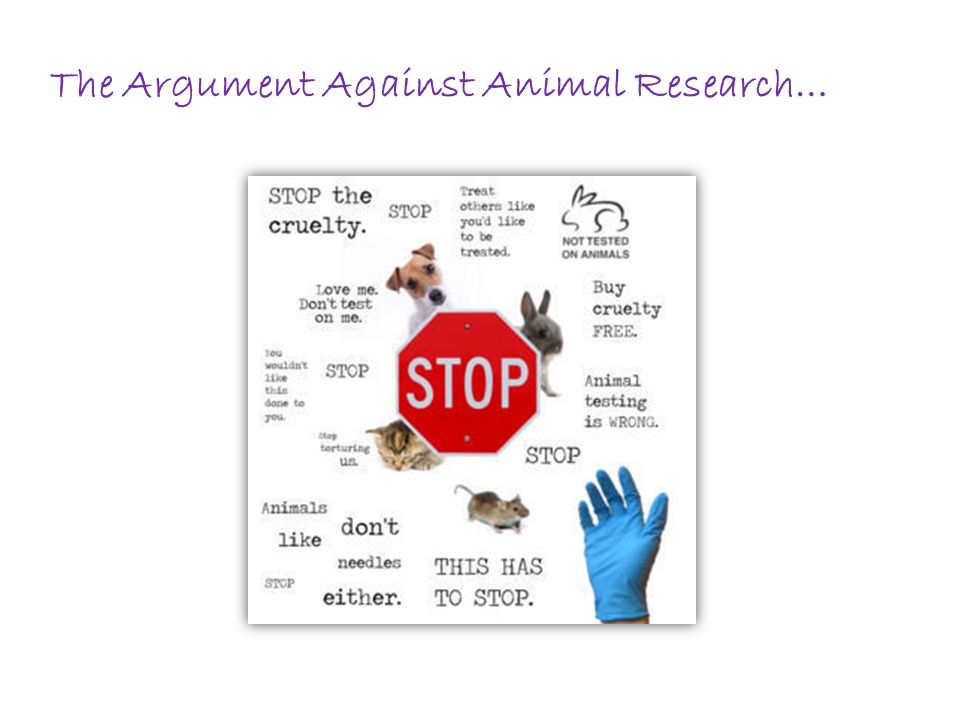 points against animal testing