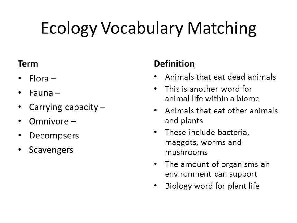Ecology vocabulary. Лексика ecological problems. Лексика экология на английском языке. Ecology лексика. Лексика по теме экология на английском.