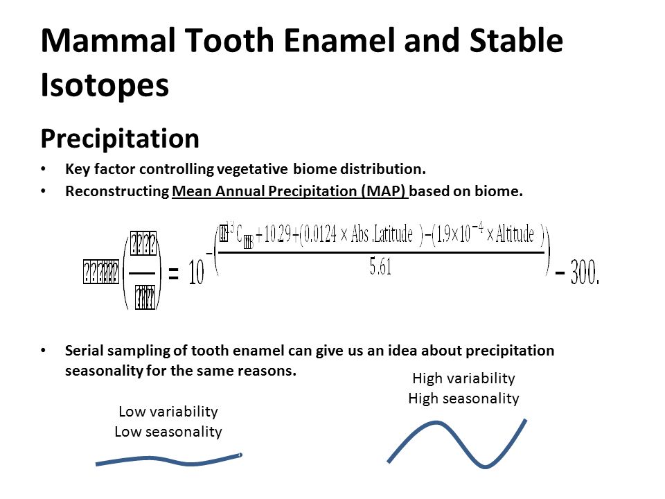 Mammal Tooth Enamel and Stable Isotopes