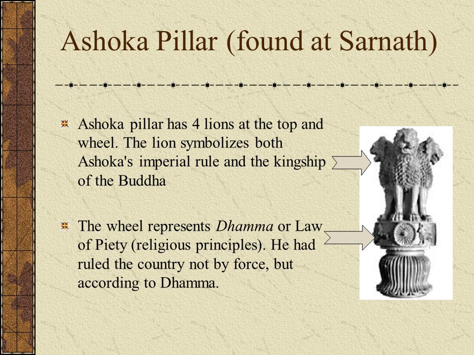 ashoka dhamma policy
