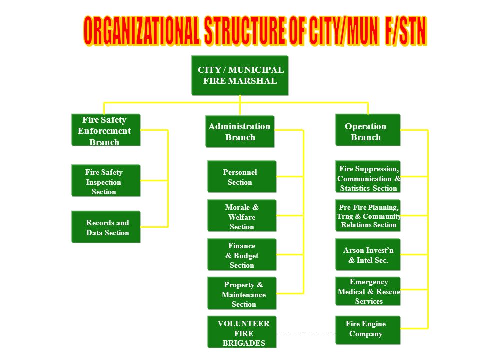 Bfp Organizational Chart 2018