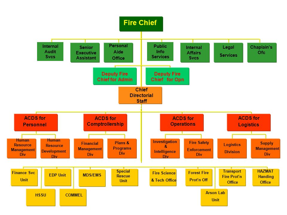 Bfp Organizational Chart 2018