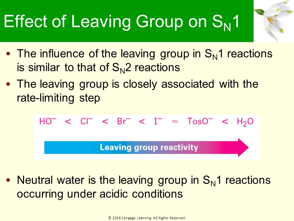 Login no sn new. Which of following us the most Reactive in sn2. تفاعلات الاستبدال Substitution Reactions. Left the Group перевод.