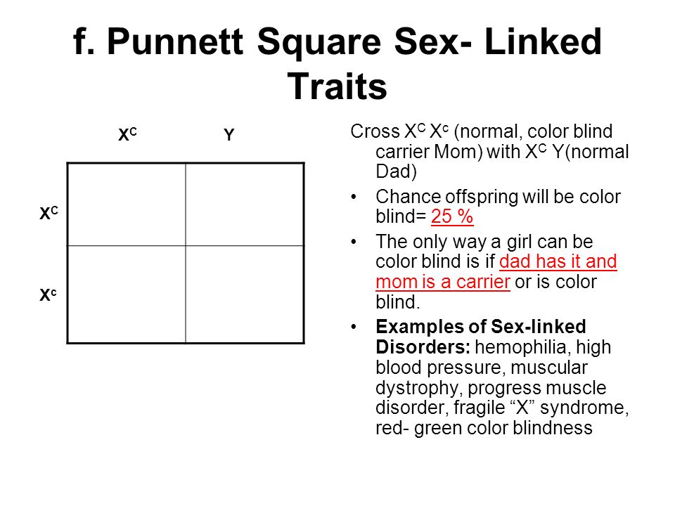 f. Punnett Square Sex- Linked Traits.