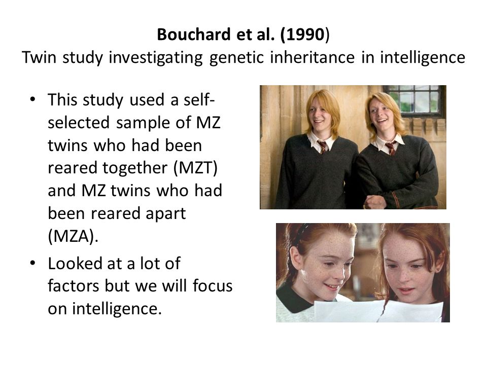 bouchard twin study 1990