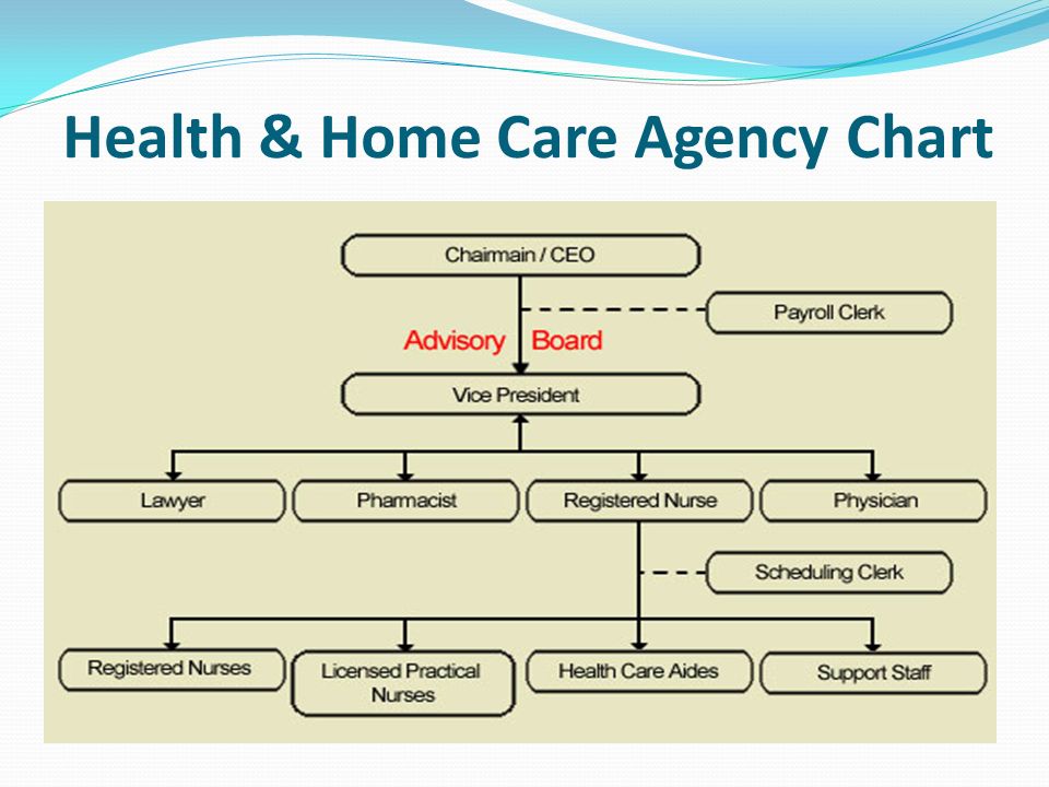 Nursing Home Chain Of Command Chart