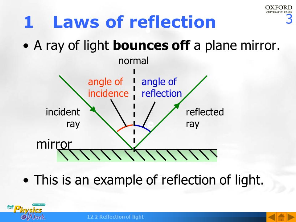 12 2 Reflection Of Light How Do You Look In Others Eyes Ppt Video Online Download