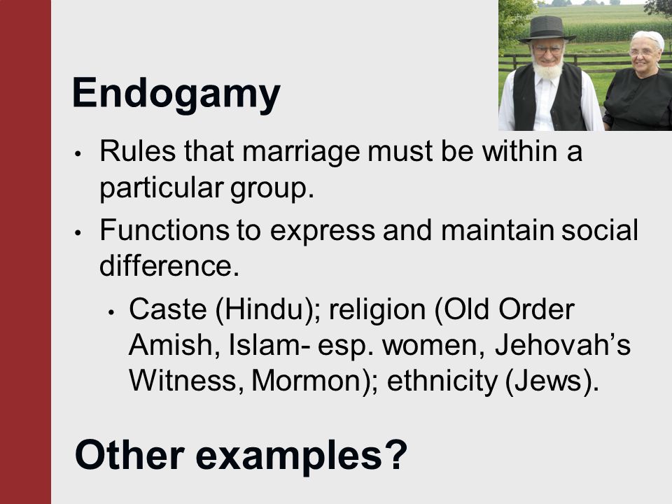 Endogamy Other examples