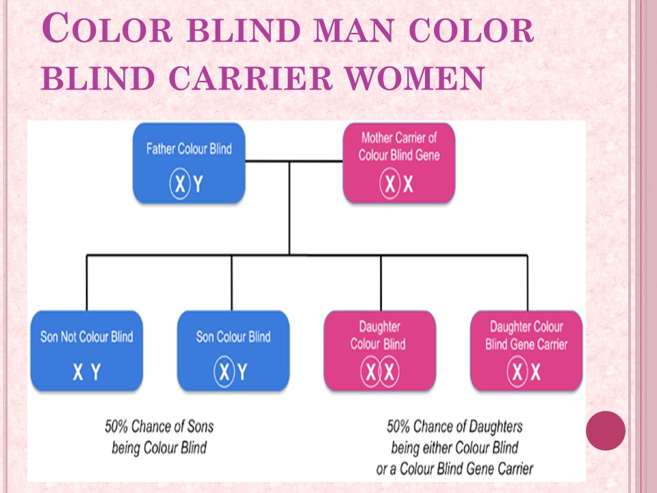 Colour Blindness Ppt Download