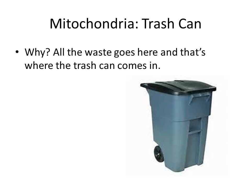 Mitochondria: Trash Can