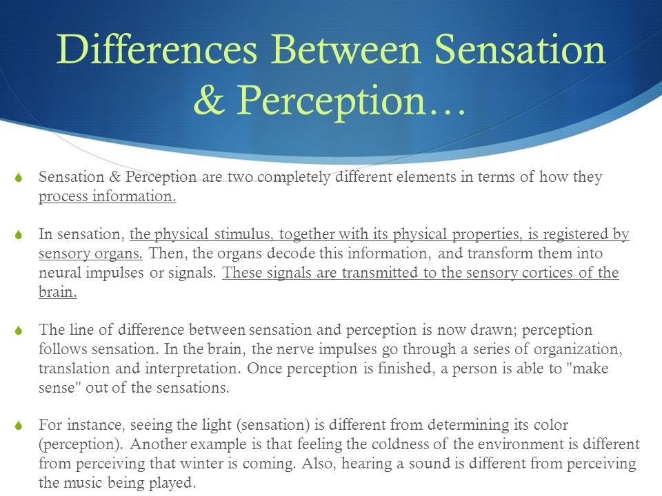 sensory perception example