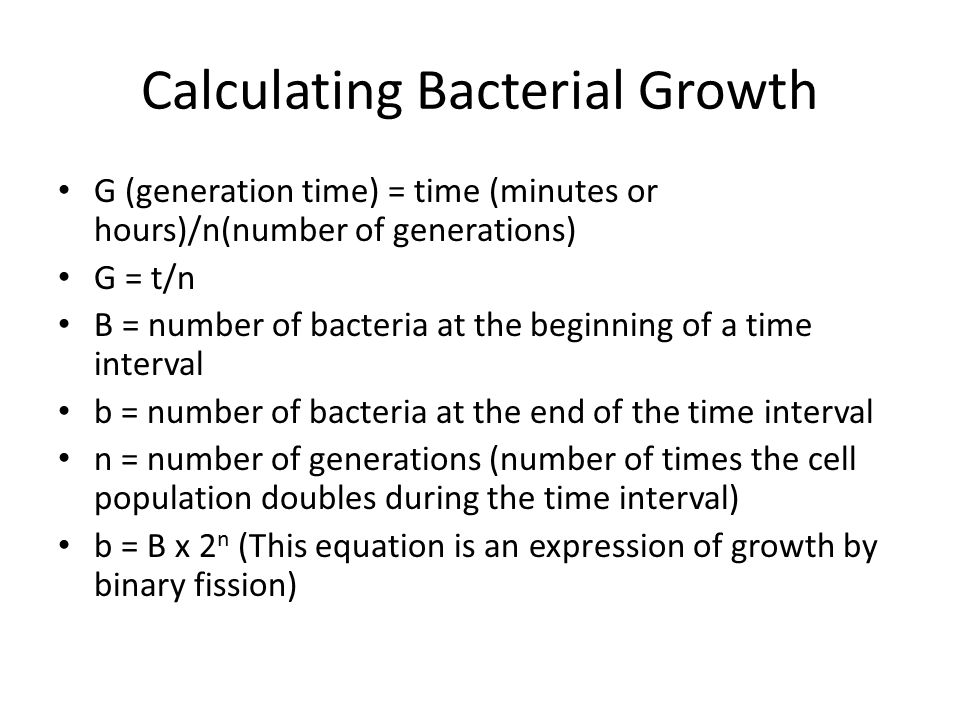 Bacterial Growth November Ppt Download Bacterial Growth November Ppt Download