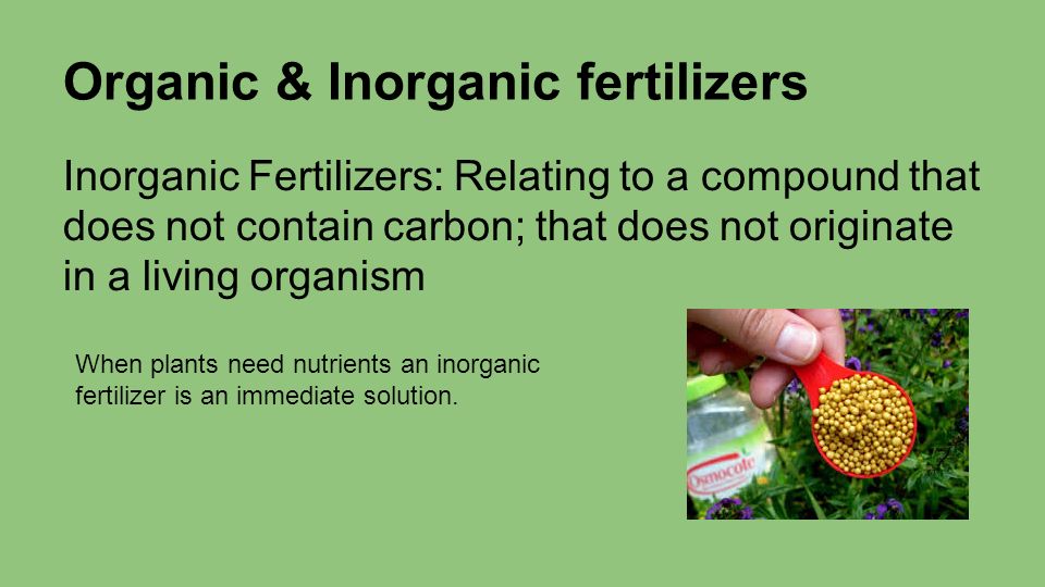 Organic & Inorganic fertilizers