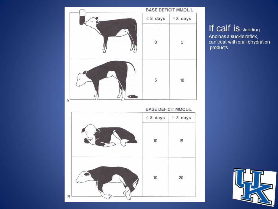 Calf Scours Color Chart