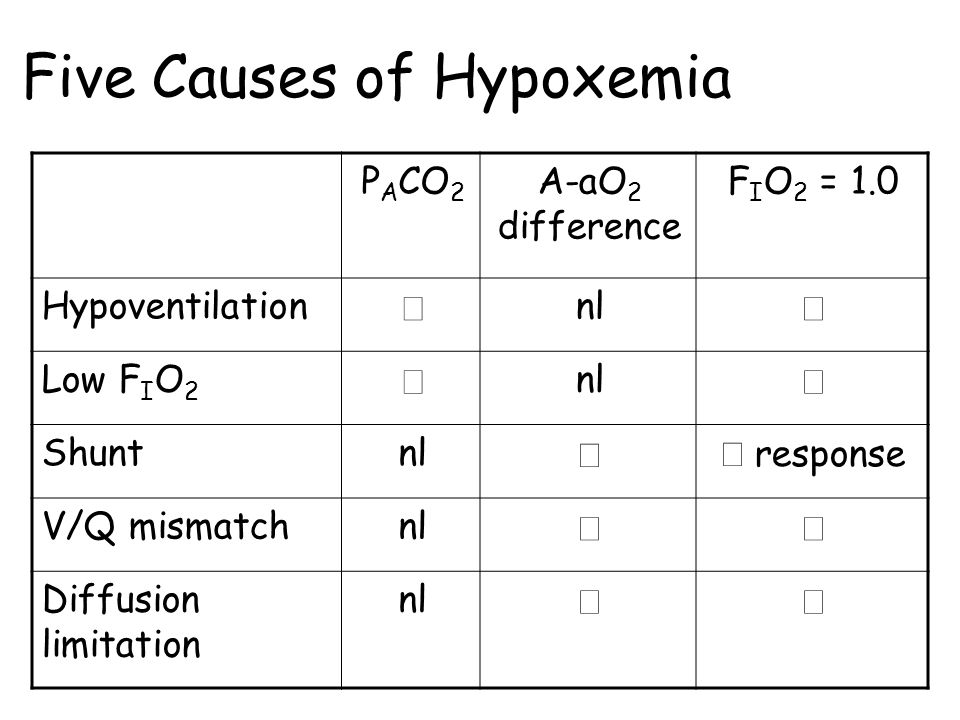 Ventilation Perfusion Relationships In The Lung Ppt Video Online Download