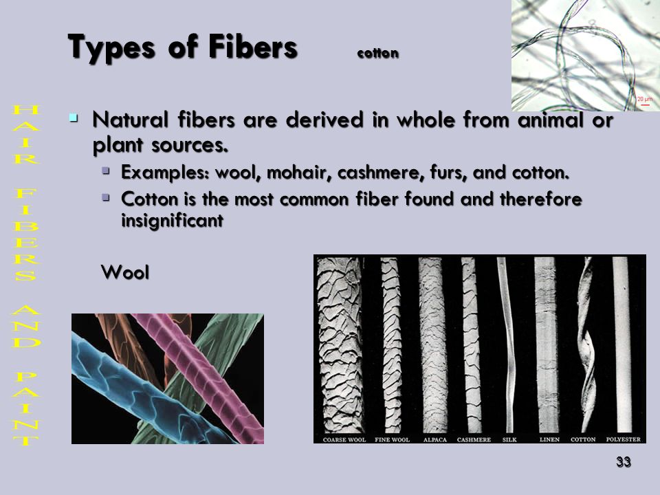 HAIR, FIBERS, AND PAINT. - ppt video online download