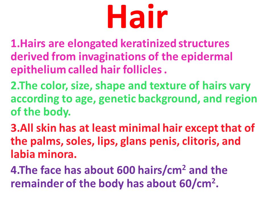 Hair 1.Hairs are elongated keratinized structures derived from  invaginations of the epidermal epithelium called hair follicles . 2.The  color, size, - ppt video online download