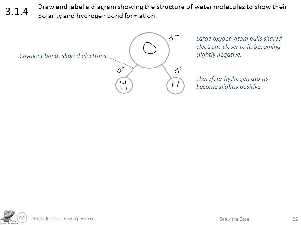 Draw the Core Label if you're able Annotate if you're great ...