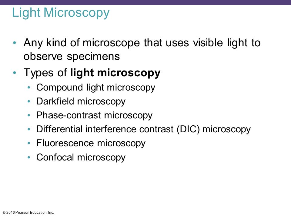 Light Microscopy Any kind of microscope that uses visible light to observe specimens. Types of light microscopy.
